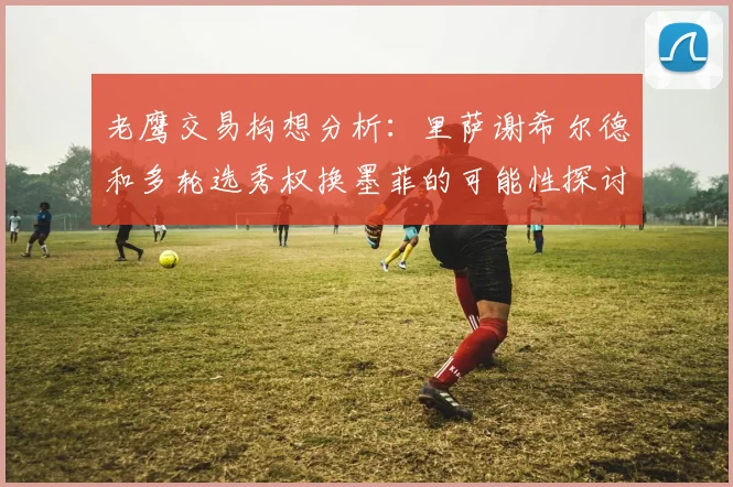 老鹰交易构想分析：里萨谢希尔德和多轮选秀权换墨菲的可能性探讨