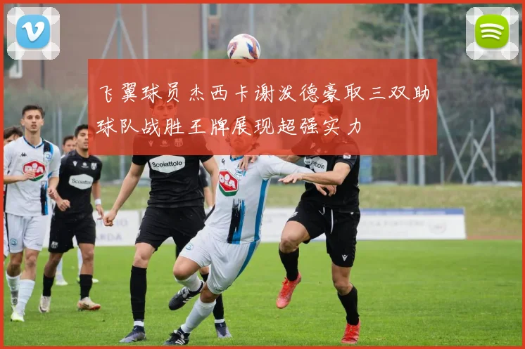 飞翼球员杰西卡谢泼德豪取三双助球队战胜王牌展现超强实力