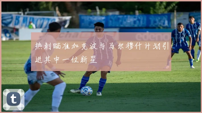 热刺瞄准加克波与马尔穆什计划引进其中一位新星
